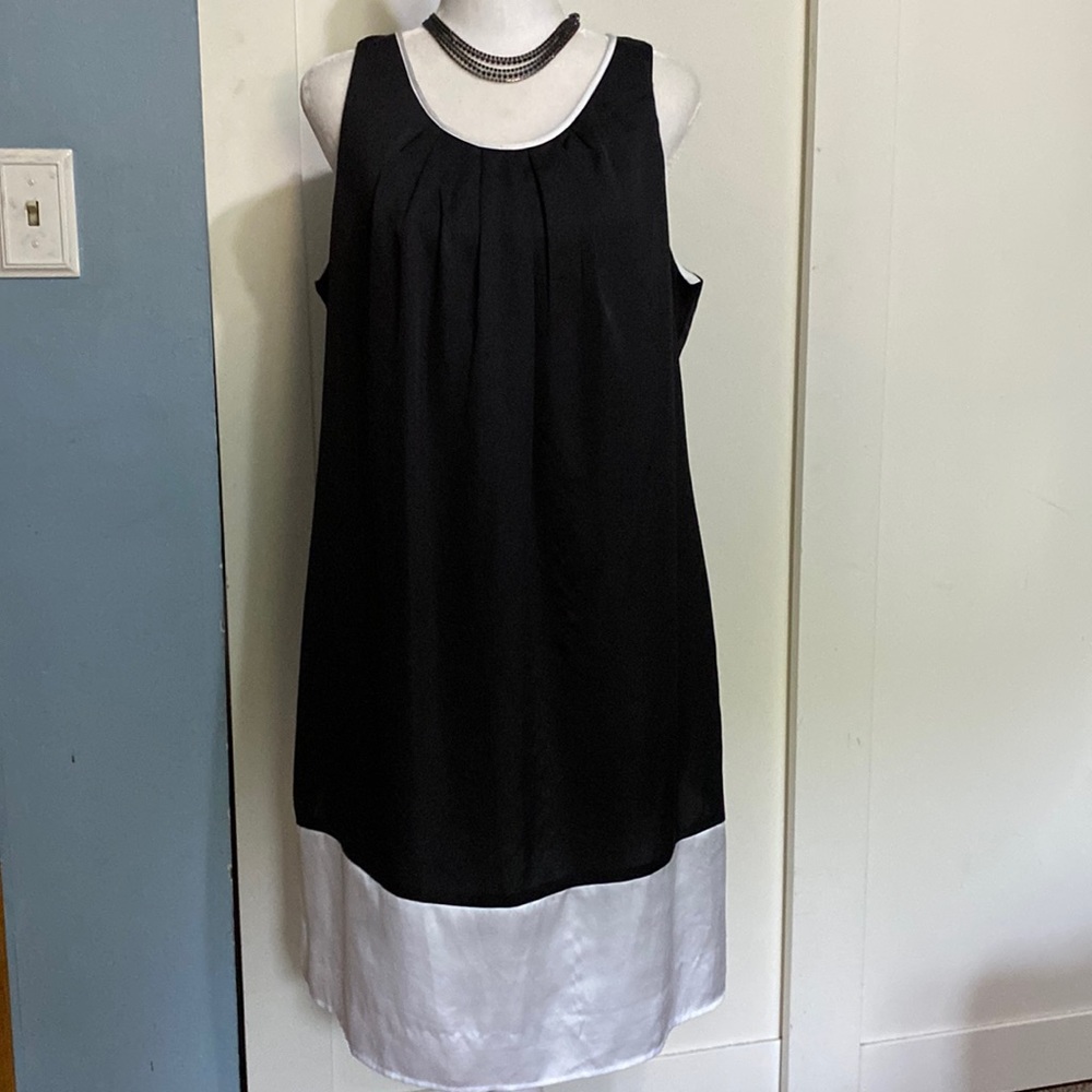 10/$10 Dana Buchman Black & White Lined Dress. EUC Size Large - Picture 2 of 10